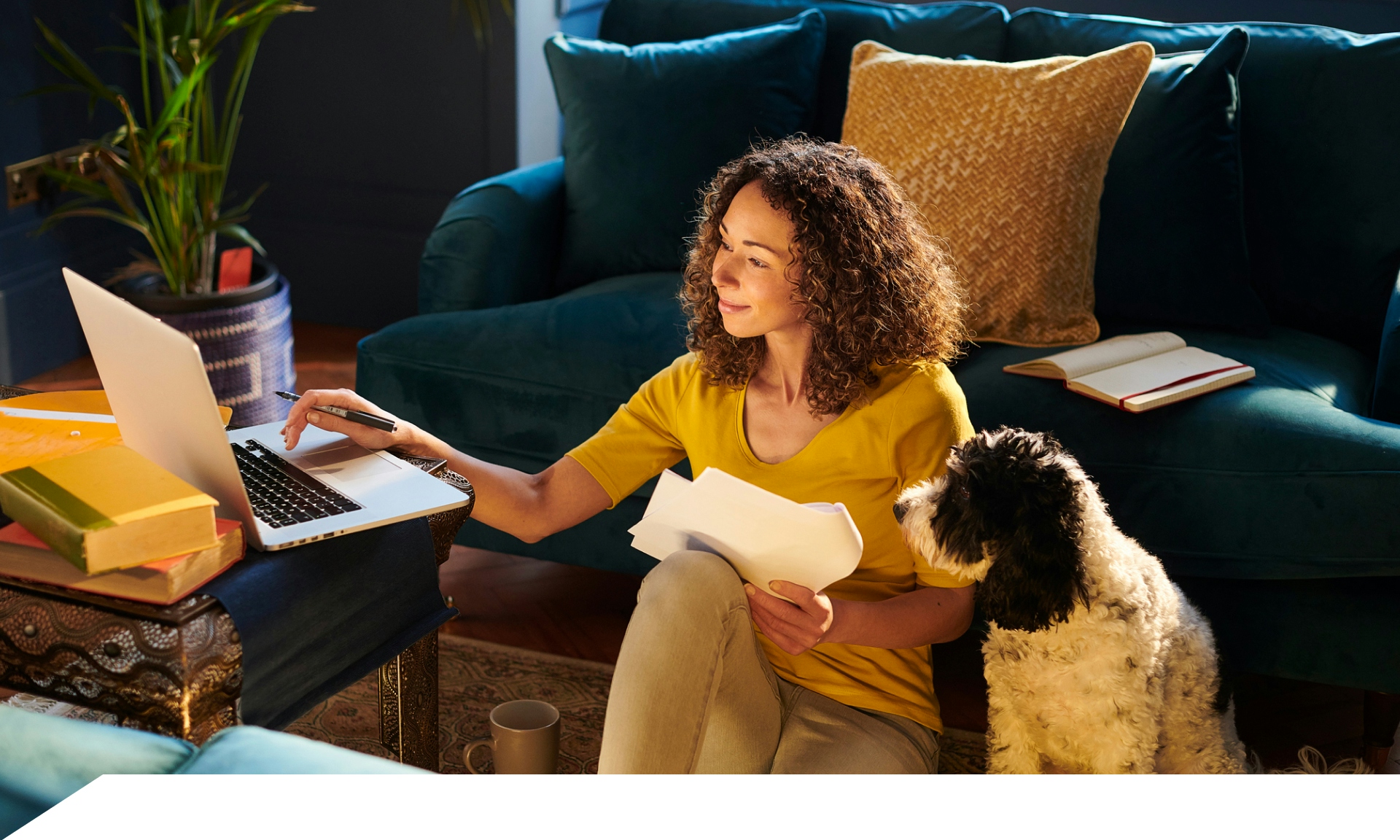 woman looking at laptop with dog 