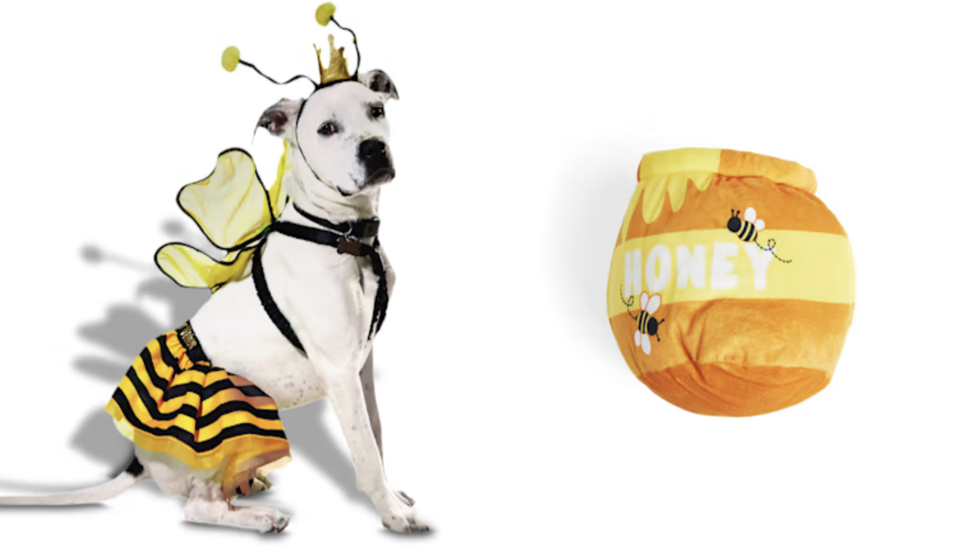 Bee pet costume