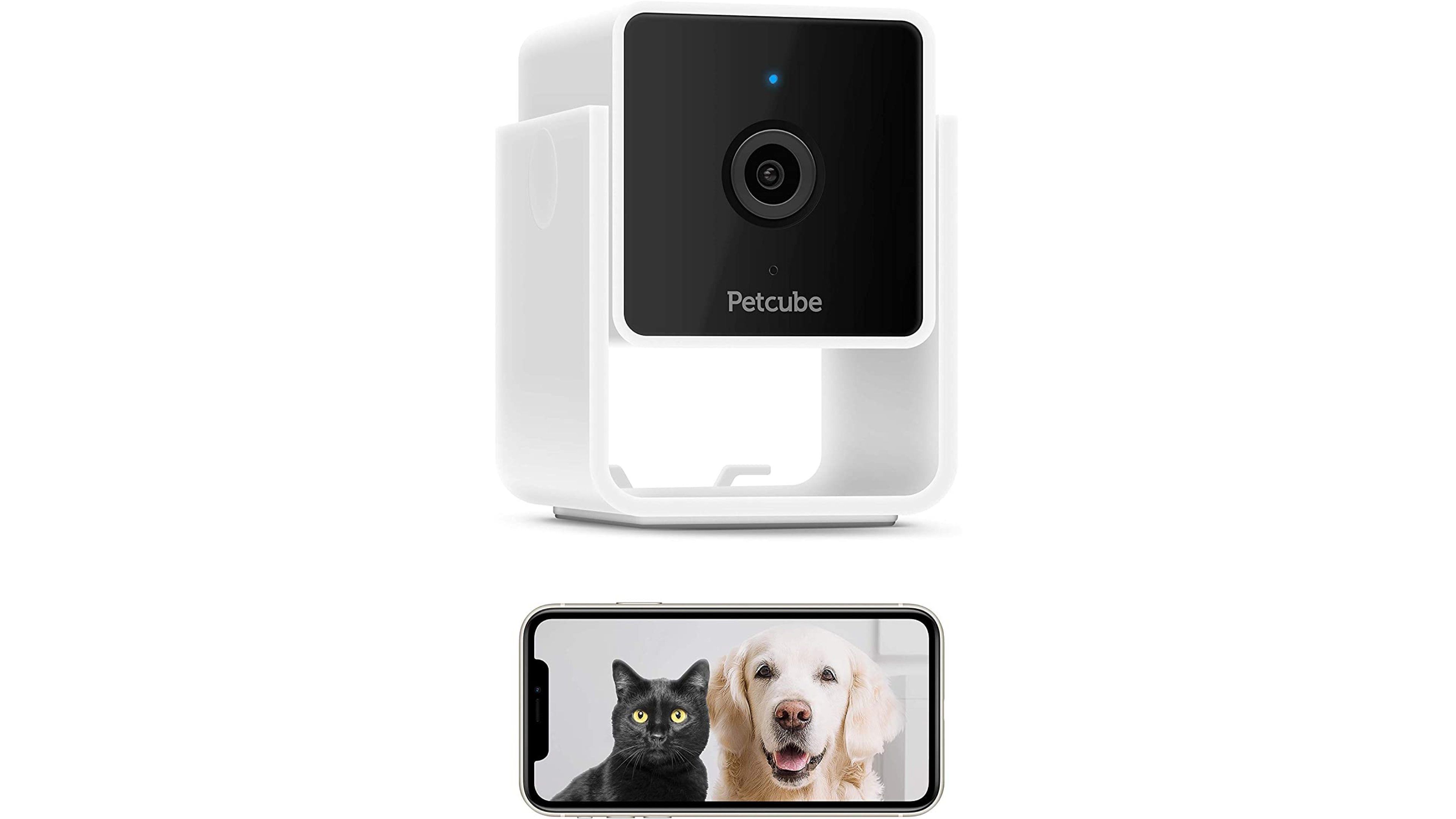 A Petcube camera