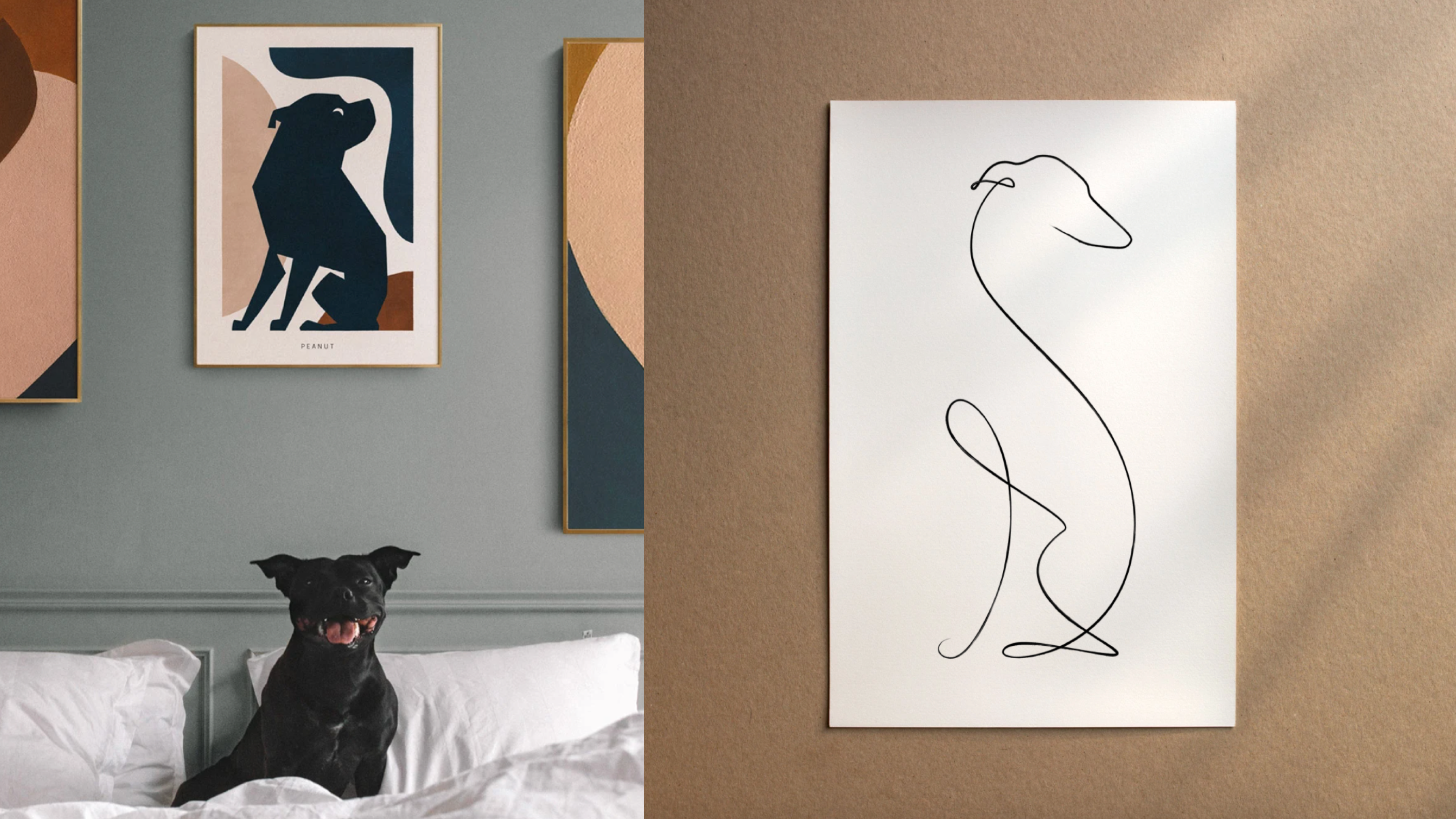 minimal and modern pet portrait