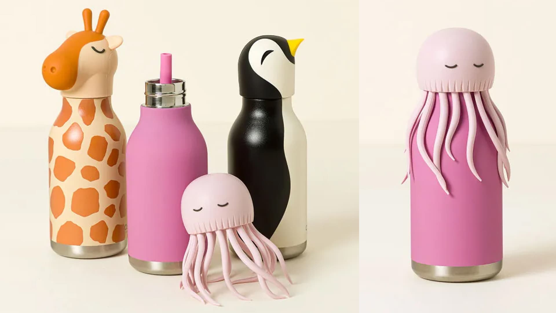 animal water bottles