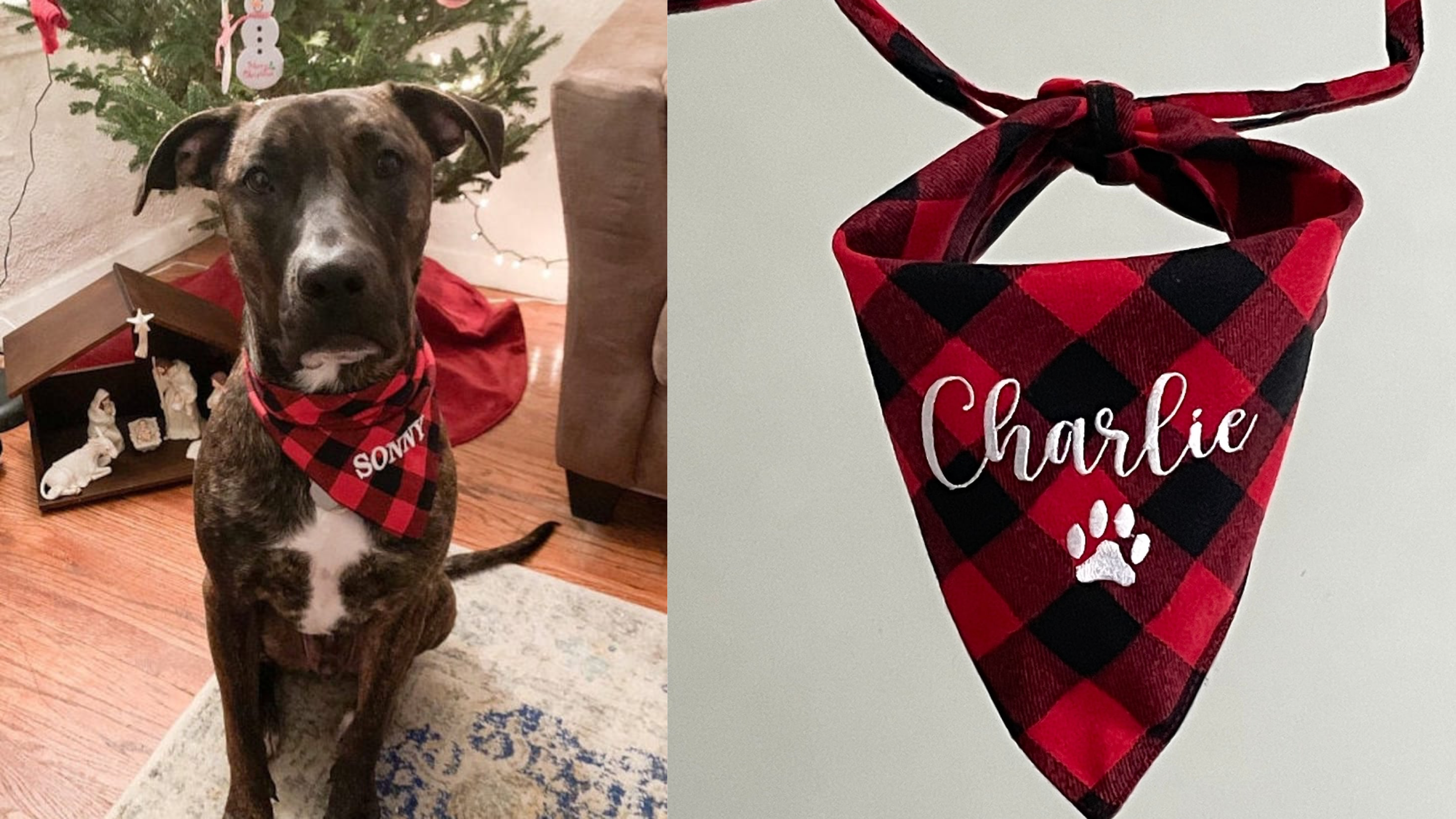 plaid name bandana for pets