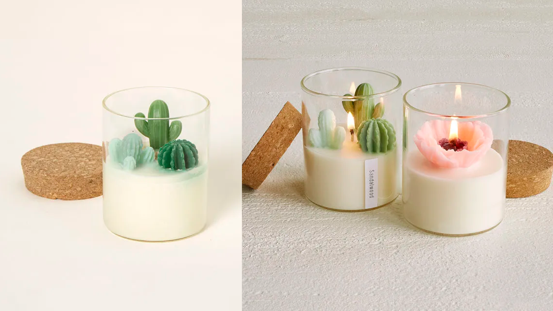 Succulents candle