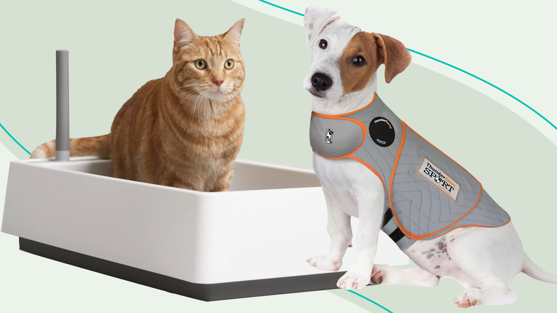 problem-solving pet products