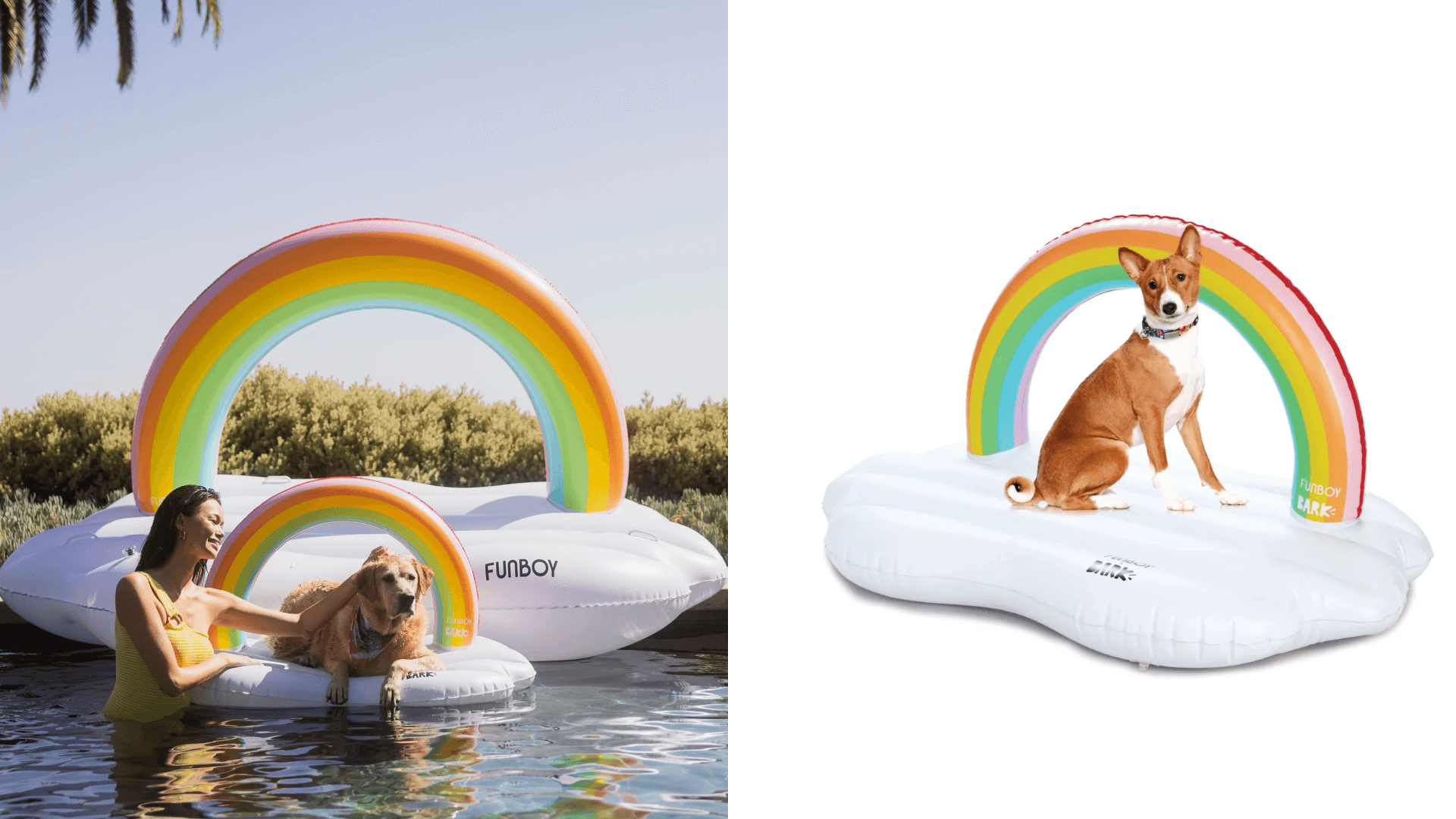 Dog float