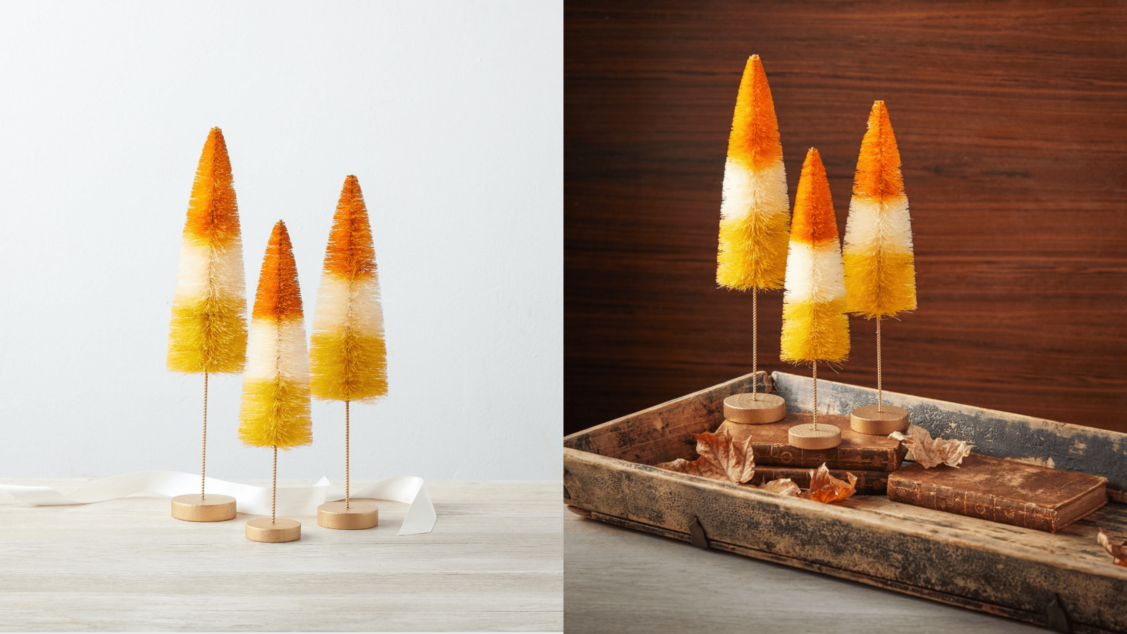 bottle brush trees that look like candy corn