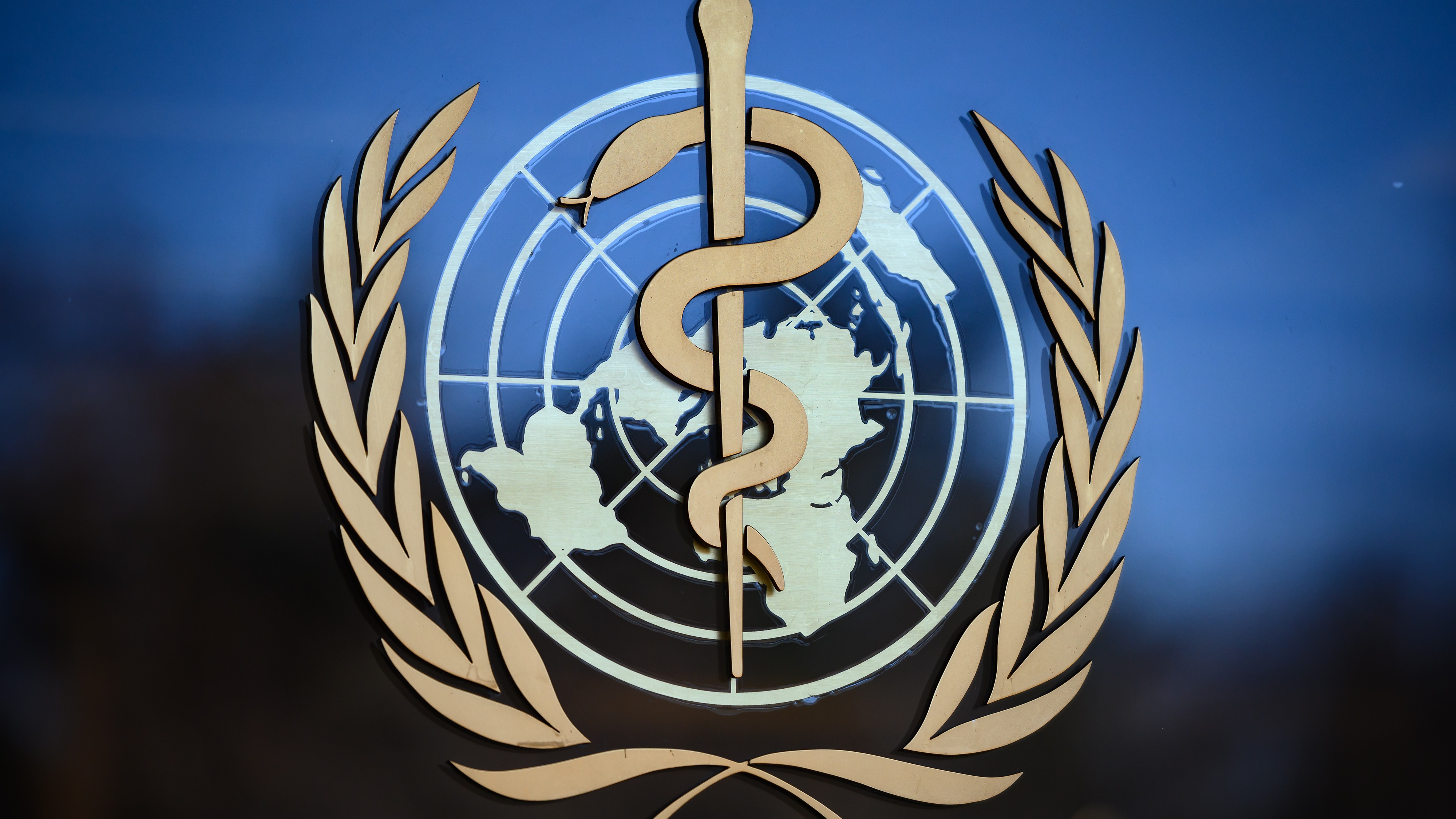 The logo of the World Health Organization