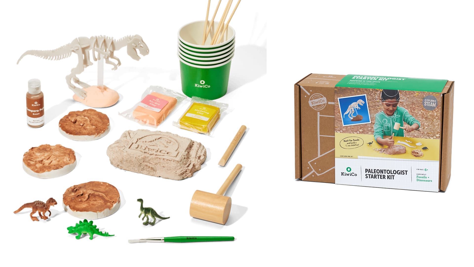 paleontologist kit