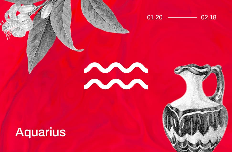 aquarius astrology symbol on a red background with images of flower leaves and an urn