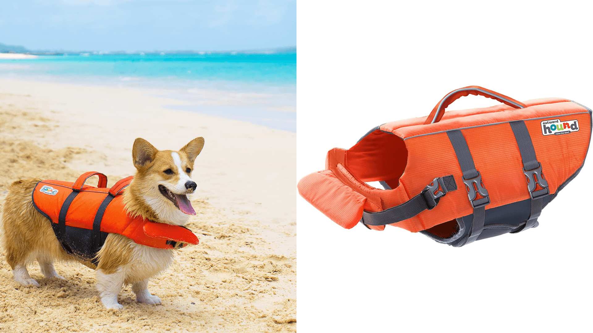 dog life jacket