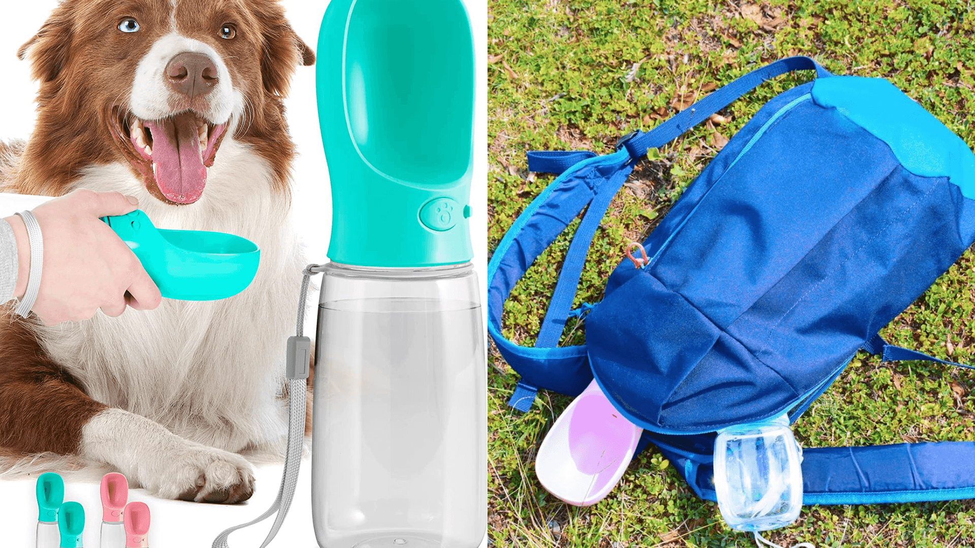 dog water bottle