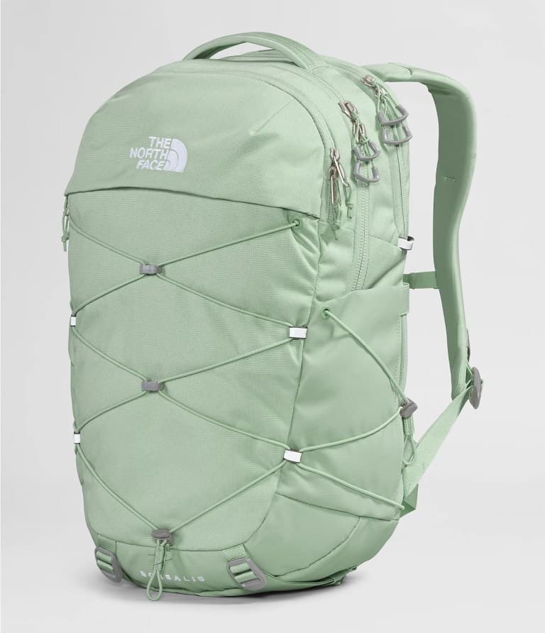 The North Face Borealis Backpack