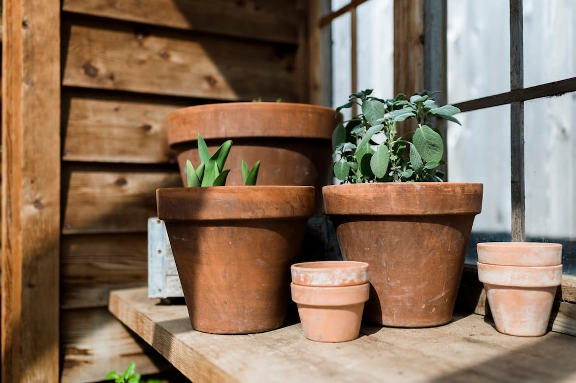Featured image for Skipping This Step With Your Terra Cotta Pots Could Be Drying Out Your New Plants