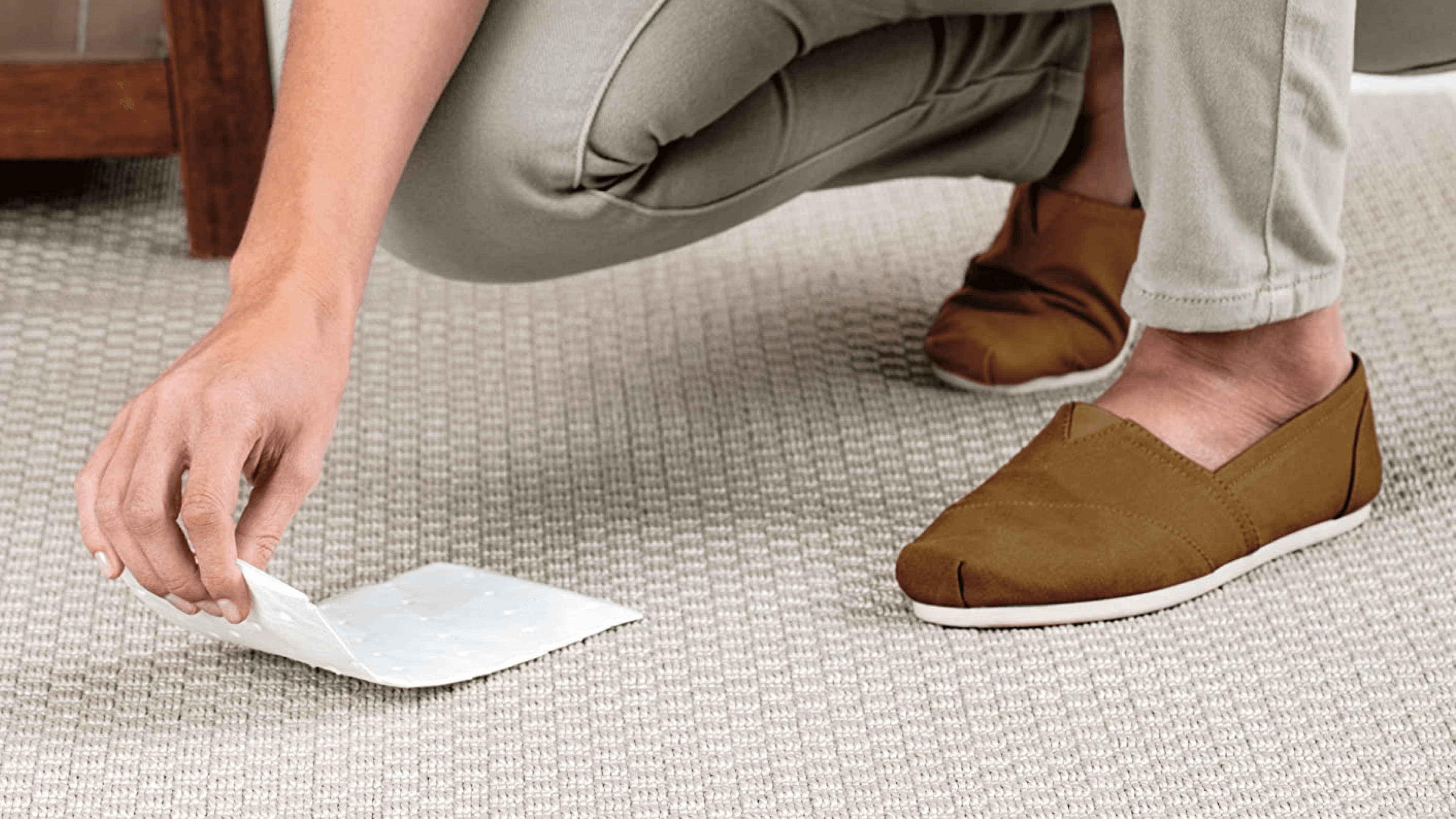 pads for pet stains for carpets and floors