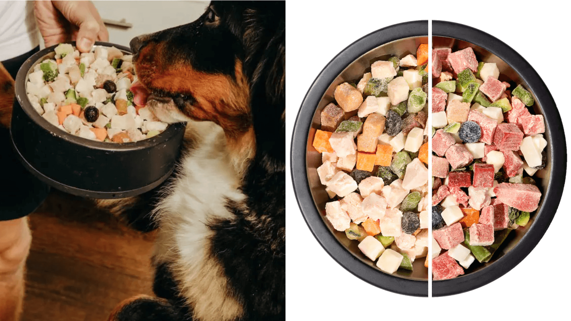 Pet food subscription